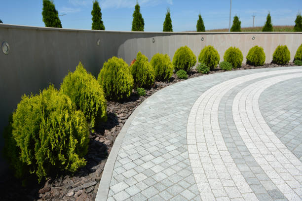 Best Driveway Paving Company  in Barnhart, MO